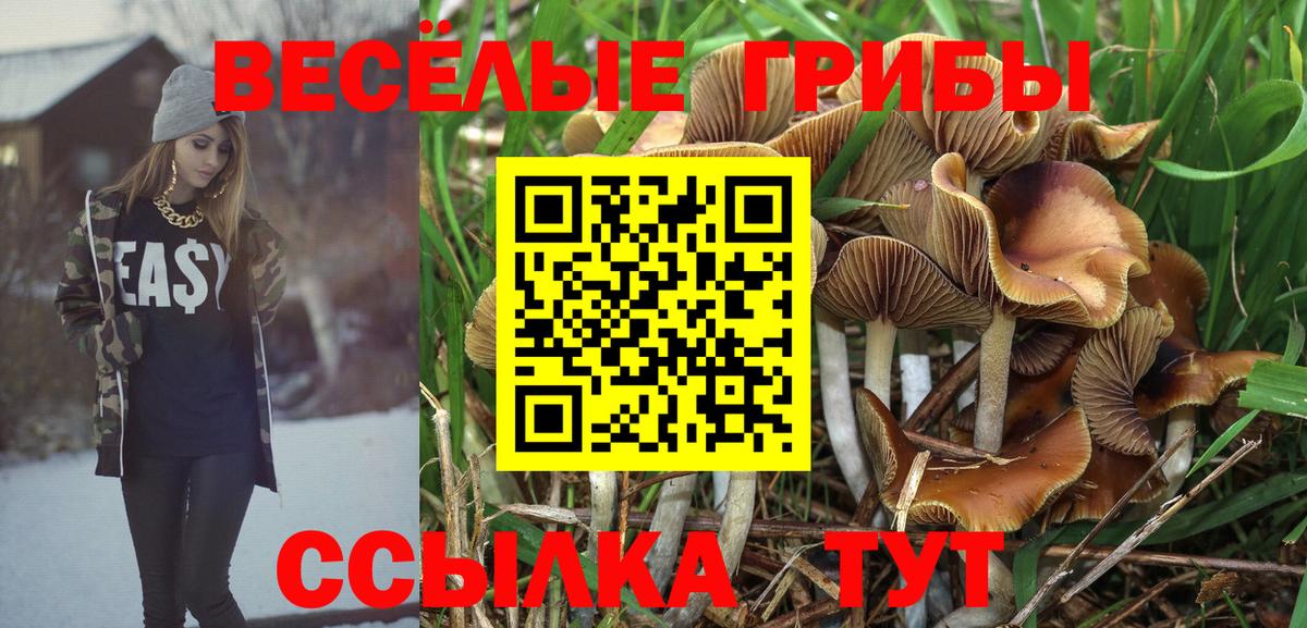 Галлюциногенные грибы прущие грибы  Псилоцибиновые грибы прущие грибы  Тольятти  Вход с VPN 